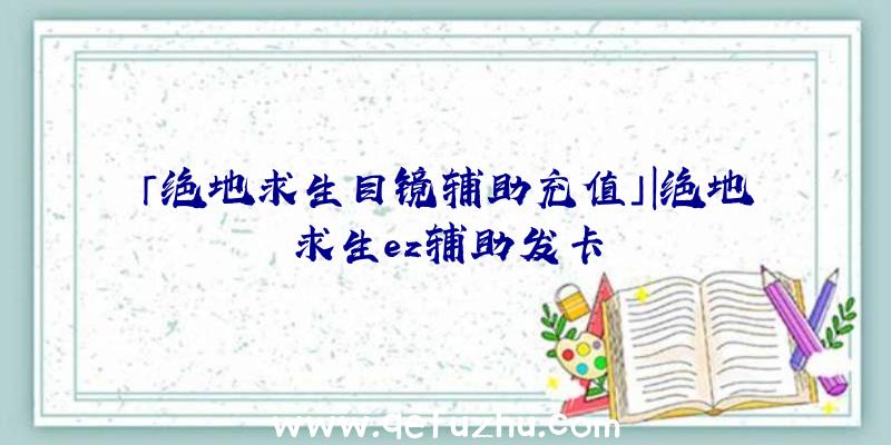 「绝地求生目镜辅助充值」|绝地求生ez辅助发卡